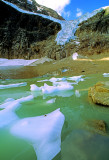 (AG28) Angel Glacier, Jasper National Park, Alberta, Canada