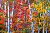 (NE2) Crawford Notch State Park, NH