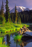 (PNW3) Reflection Lake, Mt. Rainier, WA
