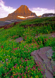 (AG25) Reynolds Peak, a horn, Glacier N. P., MT