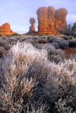 (METE86) Rime ice on sage brush, Arches National Park, UT