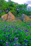 (TW10) Enchanted Rock Sate Park, TX
