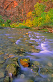 Virgin River, Zion National Park, UT