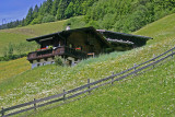 WALKING AROUND ALPBACH