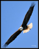 090221__429sbf.jpg