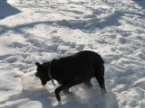 january, 2010