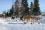 Iditarod37_Anc_07Mar2009_ 023.JPG