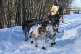 Iditarod37_Anc_07Mar2009_ 047.JPG