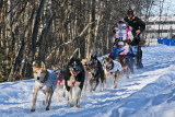 Iditarod37_Anc_07Mar2009_ 051.JPG