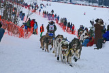 Iditarod37_Willow_08Mar2009_ 171.JPG