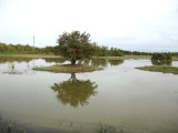 Parc N. dels Aiguamolls de L´Empordá