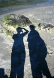 our shades