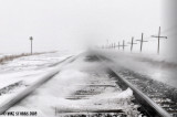 Blizzard Again!!!!