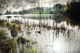 Etang de SANCHEY