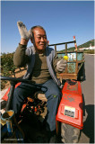 WIVE WORKER with a BUNCH of YELLOW FLOWER