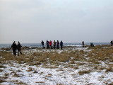 Lesser Short-toed Lark, twitchers