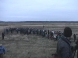 Upland Sandpiper, massive twitch