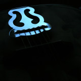 January 3 2010: Shining on an Acoustic Guitar