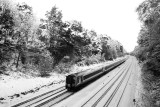 January 8 2010: The Best Way to Travel!