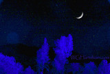 Sierra Starlight Glow