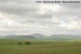 The plains of Wakkerstroom