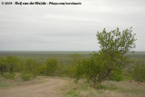 The overview of Kruger