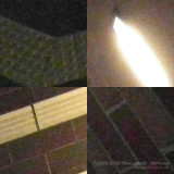 100% crop of the previous photo (ISO 6400 should be avoided except in extreme emergency situation where flash is not desirable)