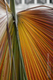 ISO1600 -- noise becomes visible, but still at an acceptable level