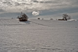 Roztoczanski National Park