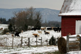 Shenandoah Valley.