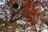 Bird FeederNovember 24, 2007