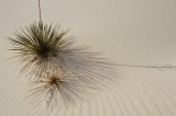 DPC_3860.jpg