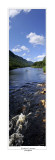 vallée de la Jacques-Cartier-.jpg