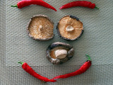 mushroom smiley.JPG
