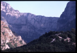 WESTERN ZAGFORI