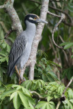Belize