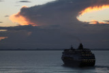 NCL09_195.jpg