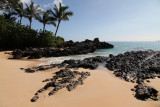 Maui 2010_02272010_015.jpg