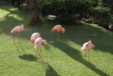 Maui 2010_03022010_096.jpg