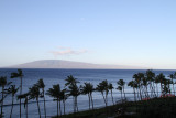 Maui 2010_03032010_099.jpg
