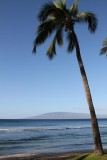 Maui 2010_03032010_108.jpg