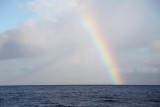 Maui 2010_03042010_165.jpg