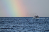 Maui 2010_03042010_168.jpg