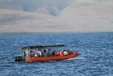 Maui 2010_03042010_169.jpg