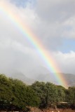 Maui 2010_03042010_214.jpg
