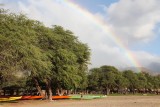 Maui 2010_03042010_215.jpg