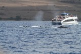 Maui 2010_03052010_244.jpg