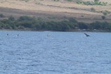 Maui 2010_03052010_246.jpg
