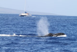 Maui 2010_03052010_252.jpg