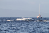 Maui 2010_03052010_288.jpg